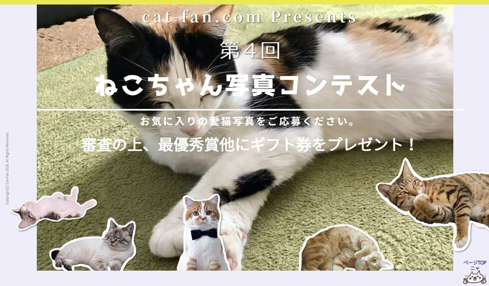 第4回ねこちゃん写真コンテスト CAT-FAN
